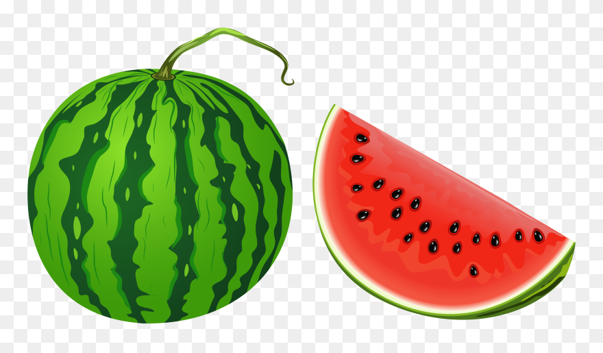 Detail Watermellon Clipart Nomer 24