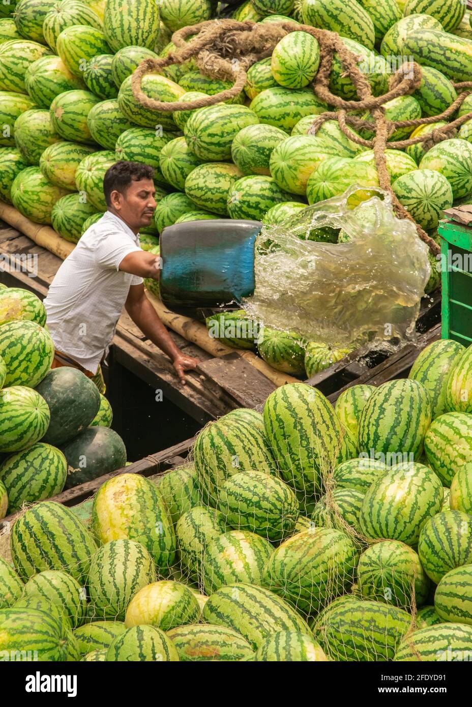 Detail Watermelon Boat Pictures Nomer 45