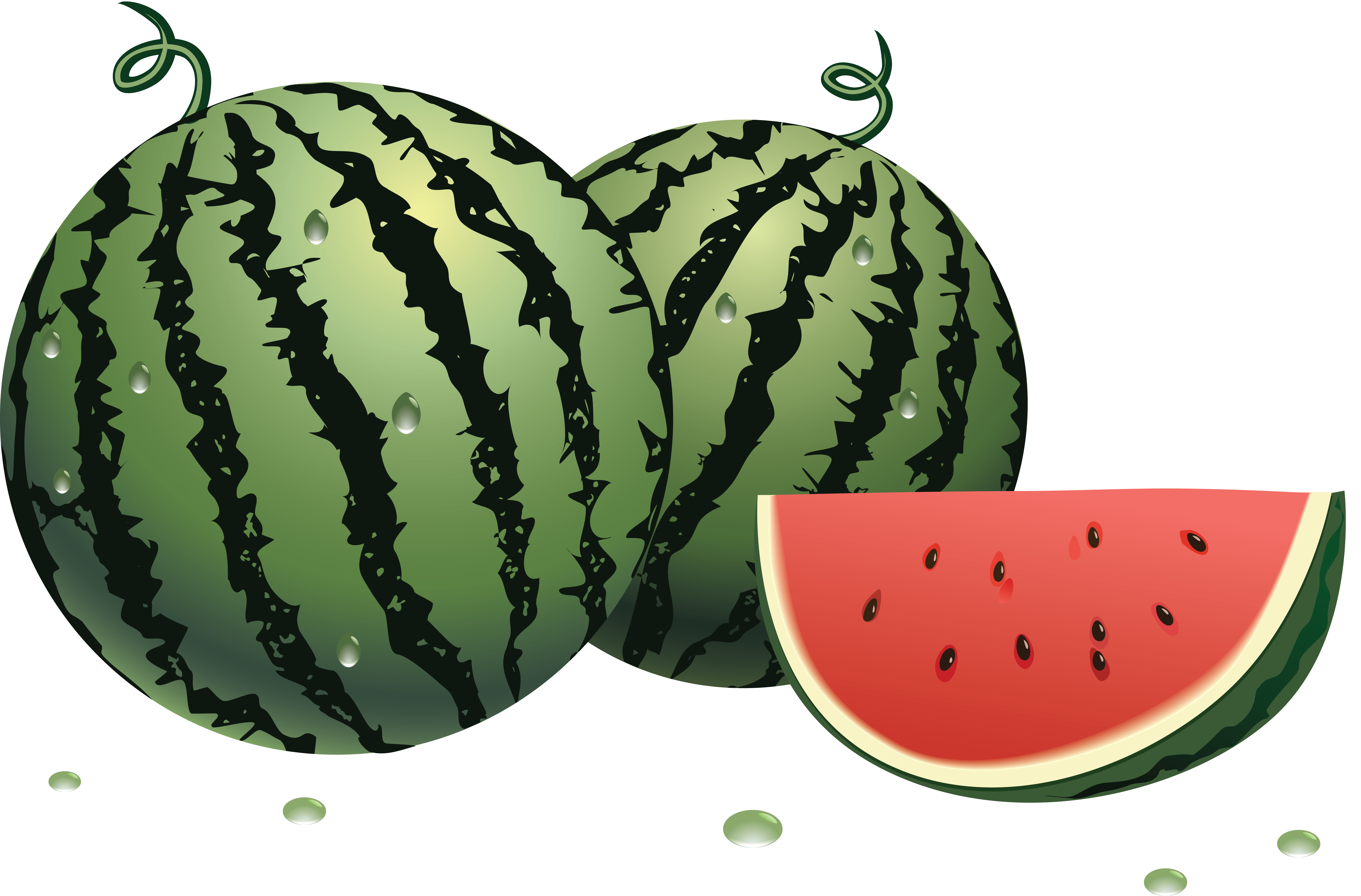 Detail Watermelon Clip Art Free Nomer 46