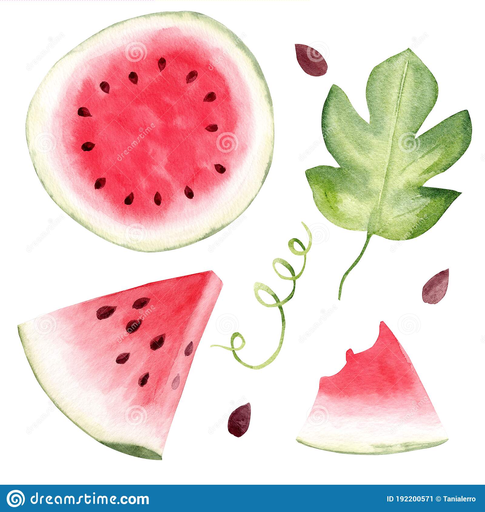 Detail Watermelon Clip Art Free Nomer 49