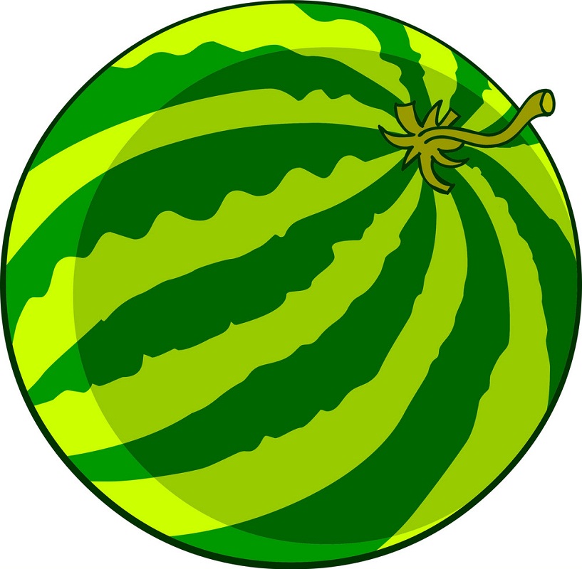 Detail Watermelon Clip Art Images Nomer 35