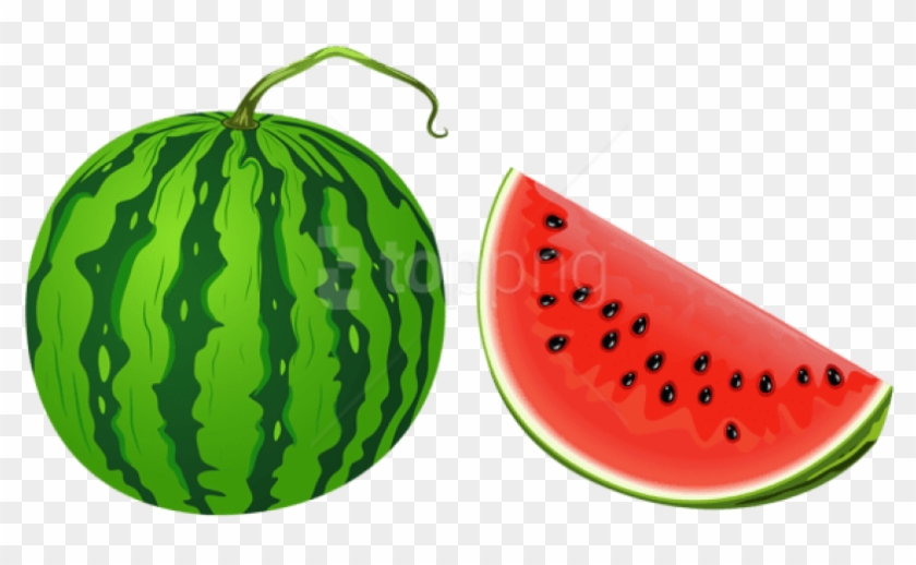 Detail Watermelon Clipart Transparent Nomer 30