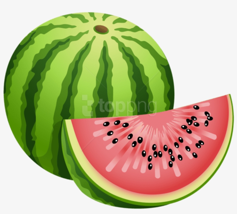 Detail Watermelon Clipart Transparent Nomer 32