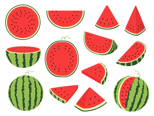 Detail Watermelon Graphics Nomer 24