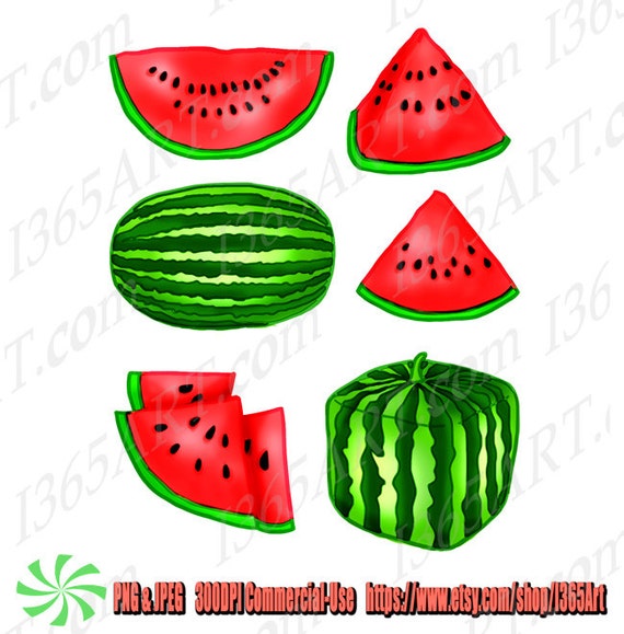 Detail Watermelon Graphics Nomer 44