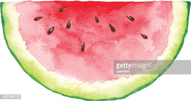 Detail Watermelon Graphics Nomer 45