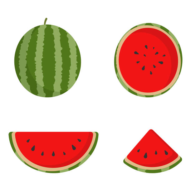 Detail Watermelon Graphics Nomer 10