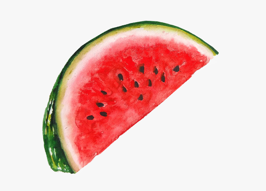 Detail Watermelon Hd Nomer 34
