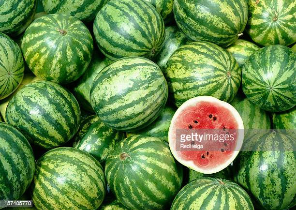 Detail Watermelon Hd Nomer 6