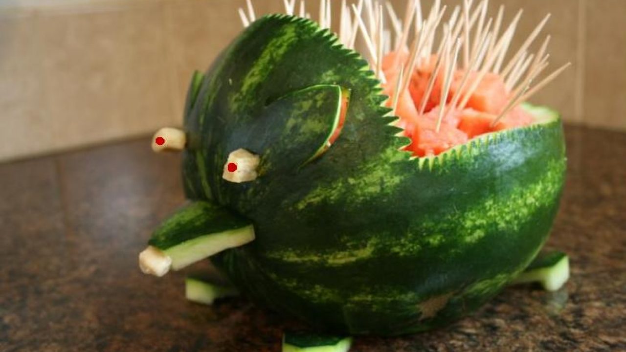 Detail Watermelon Hedgehog Nomer 2