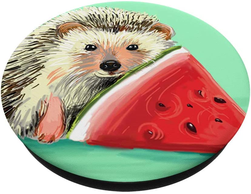 Detail Watermelon Hedgehog Nomer 22