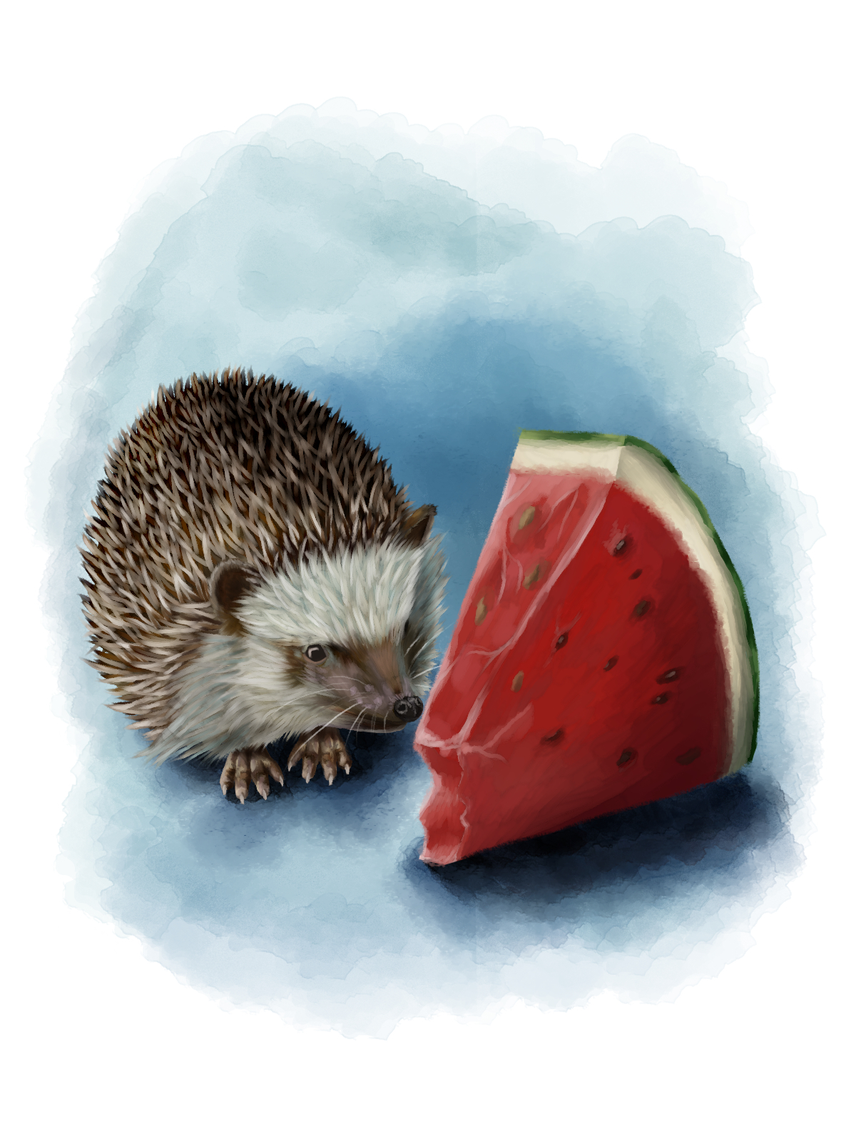 Detail Watermelon Hedgehog Nomer 29