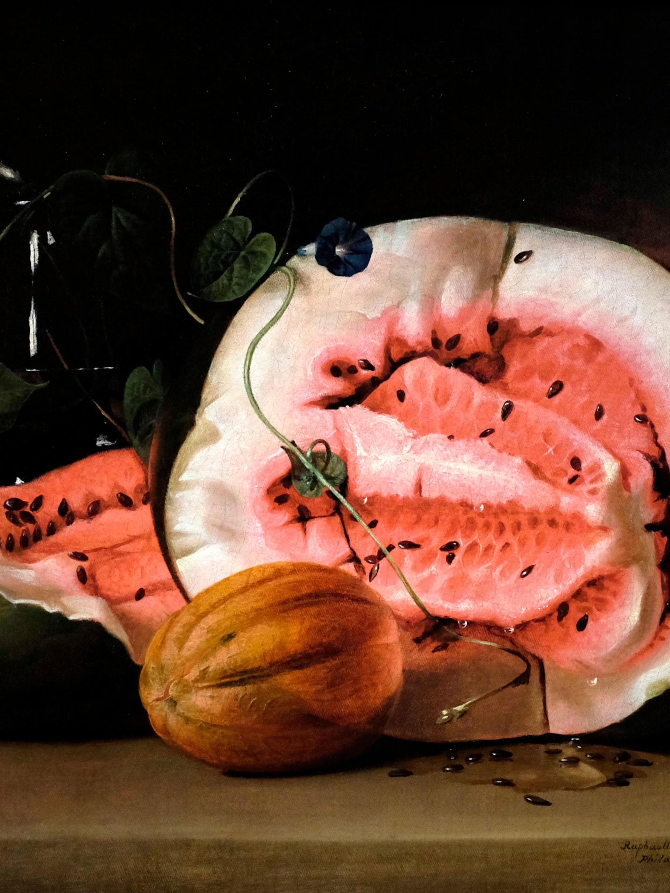 Detail Watermelon Images Nomer 36