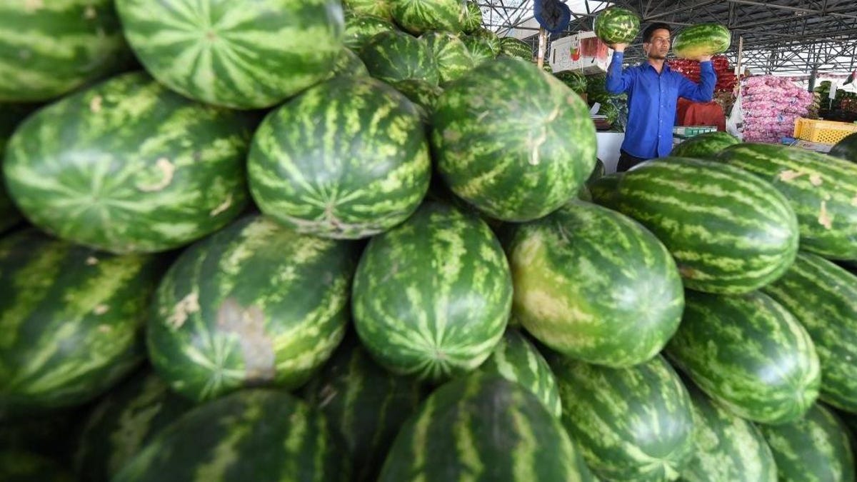 Detail Watermelon In Marathi Nomer 40