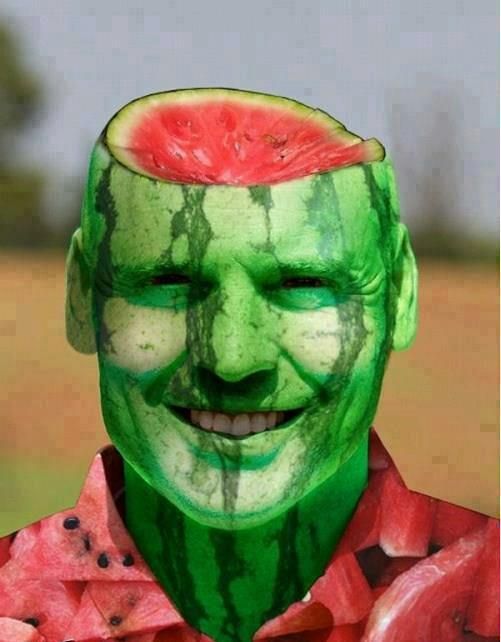 Detail Watermelon Photoshop Nomer 13