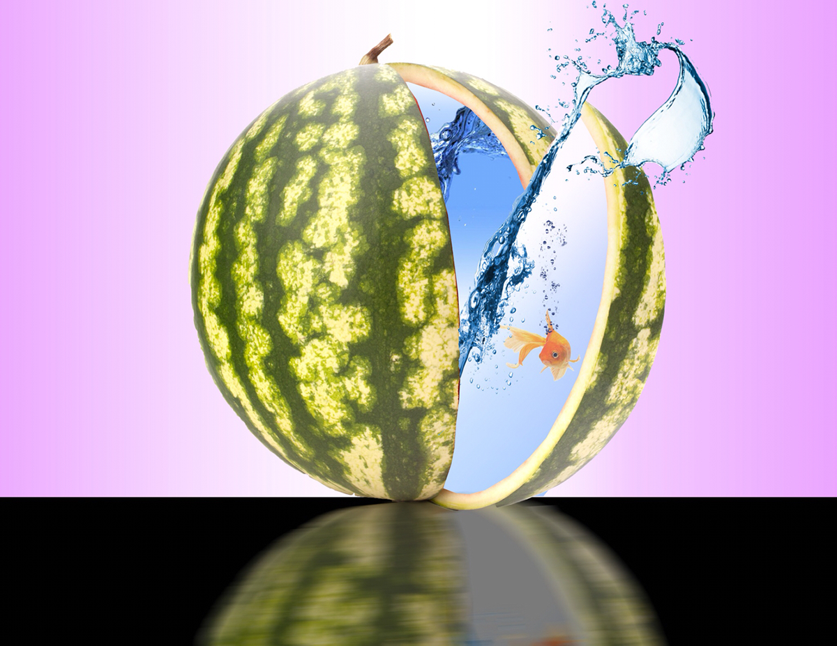 Detail Watermelon Photoshop Nomer 37