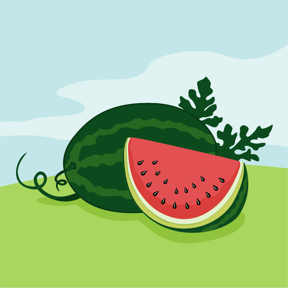 Detail Watermelon Photoshop Nomer 10