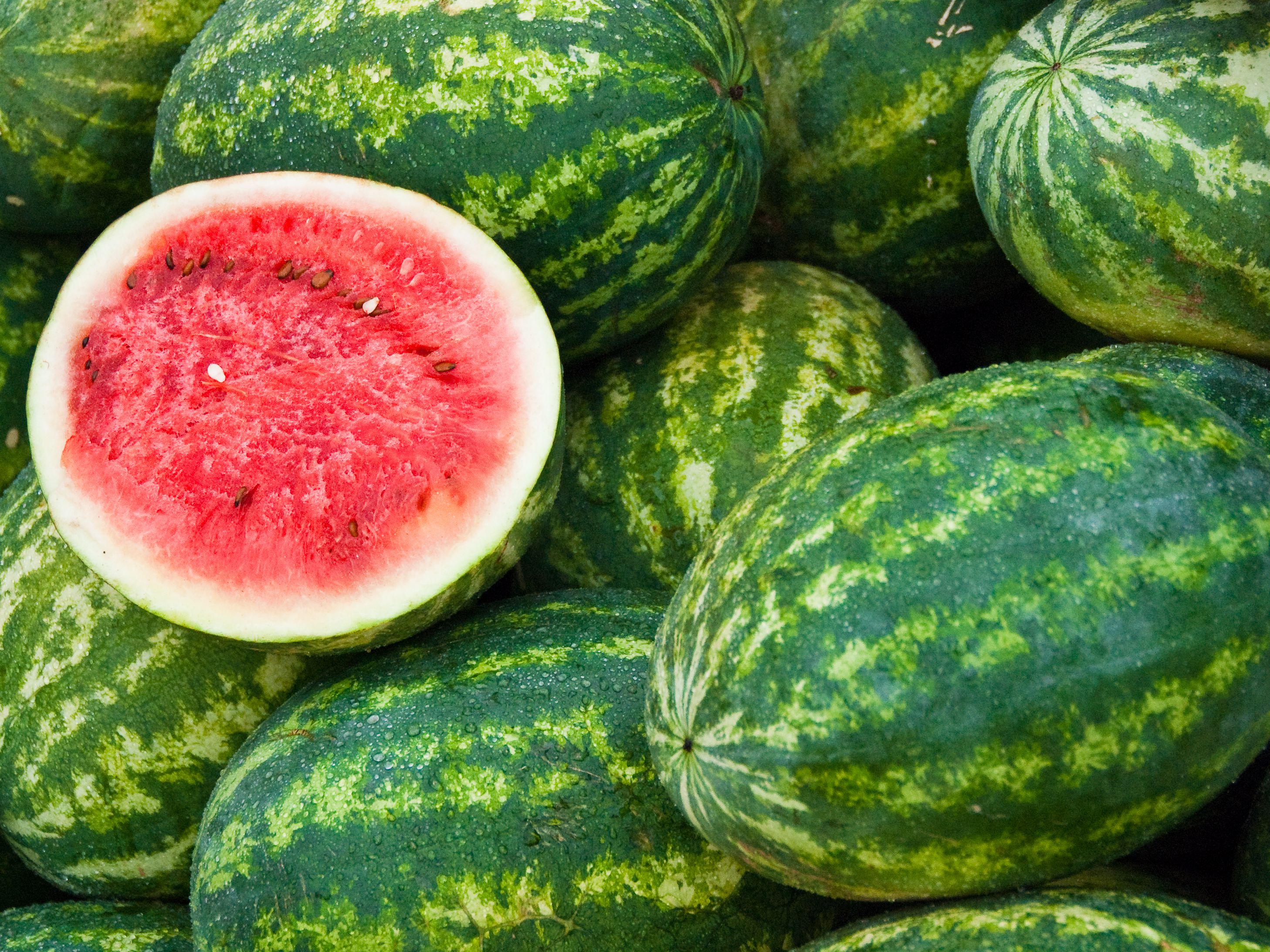 Detail Watermelon Pic Nomer 22