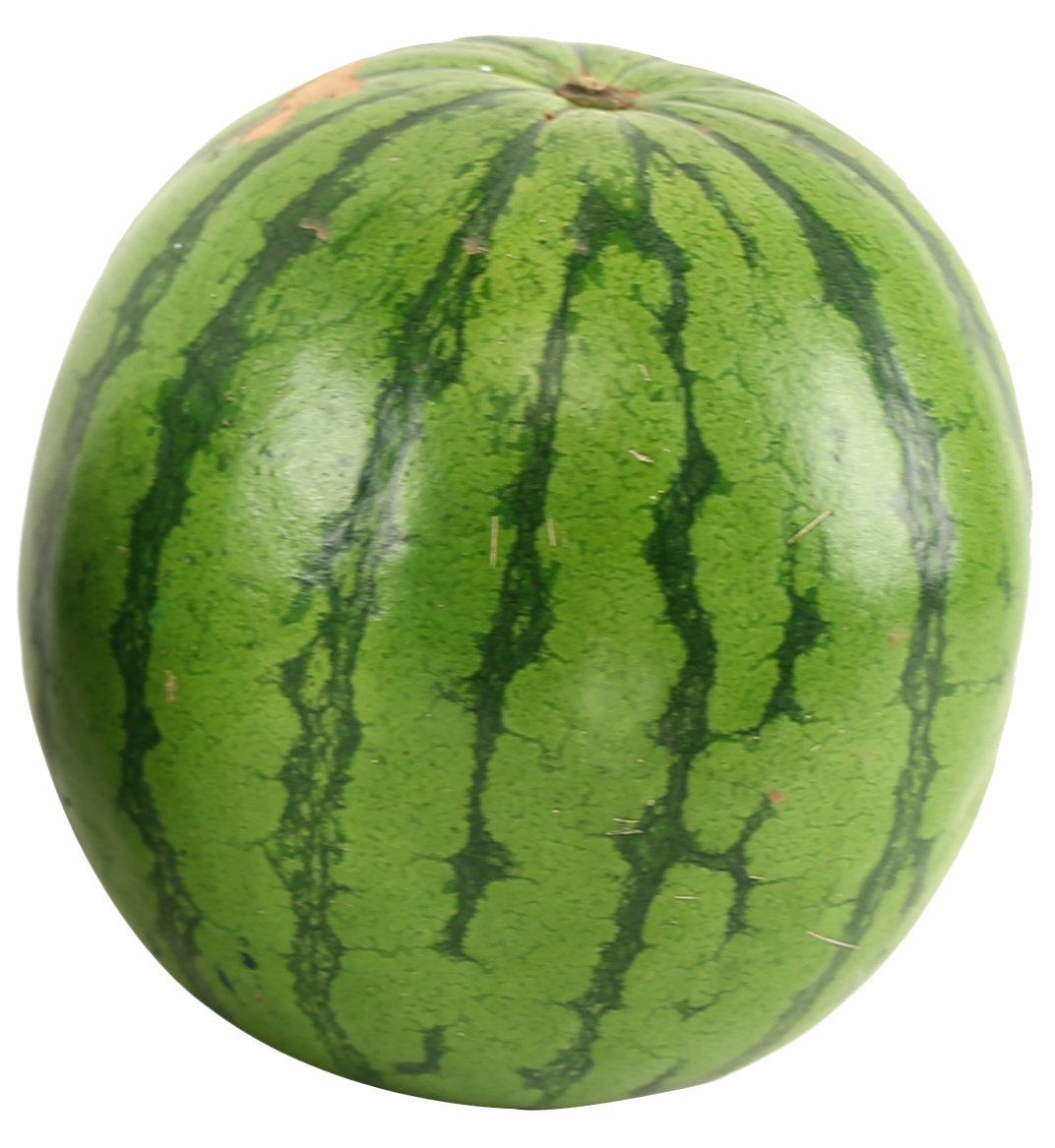 Detail Watermelon Png Nomer 2