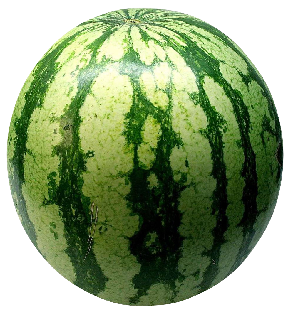 Detail Watermelon Png Nomer 11