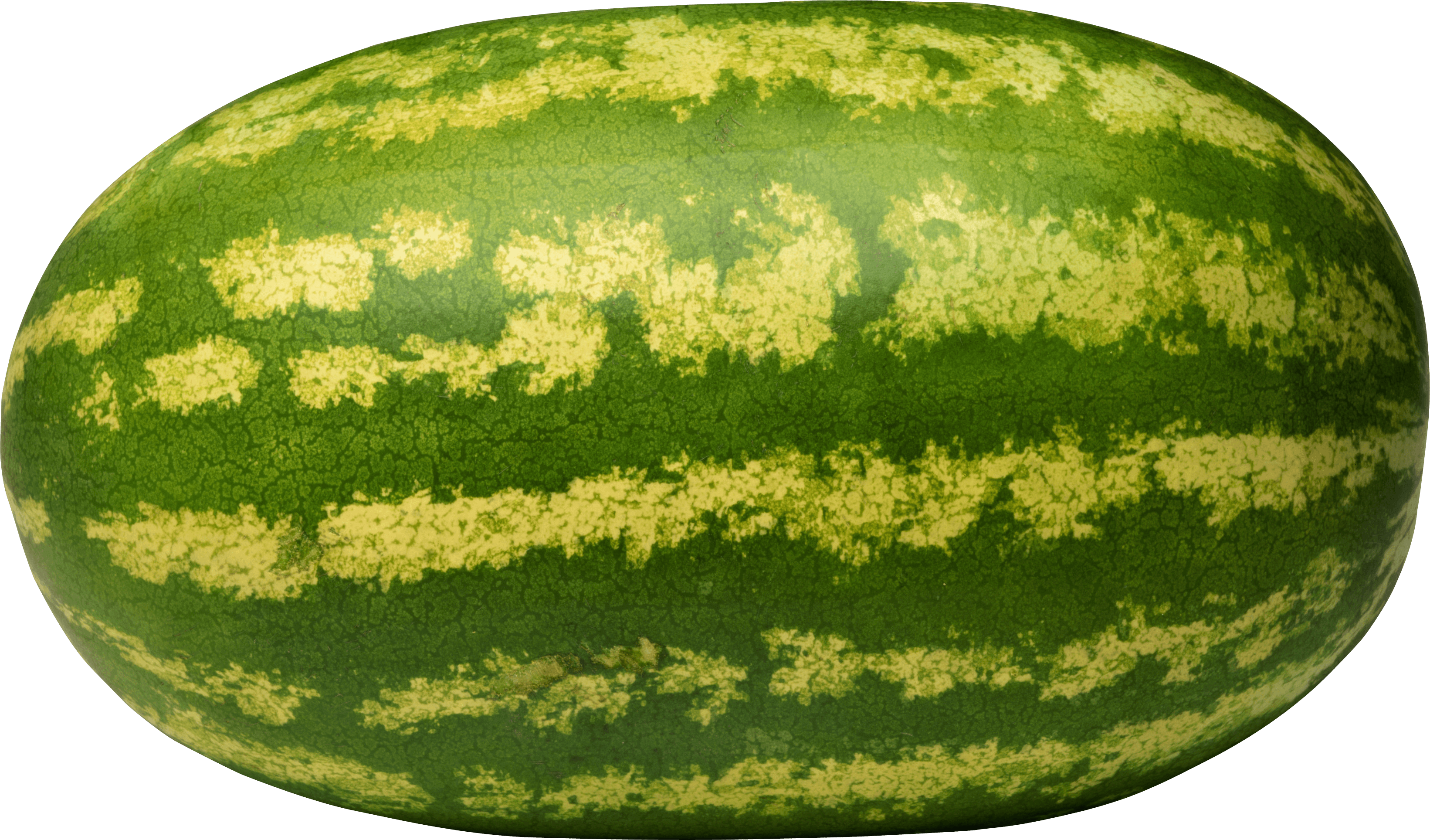 Detail Watermelon Png Nomer 18