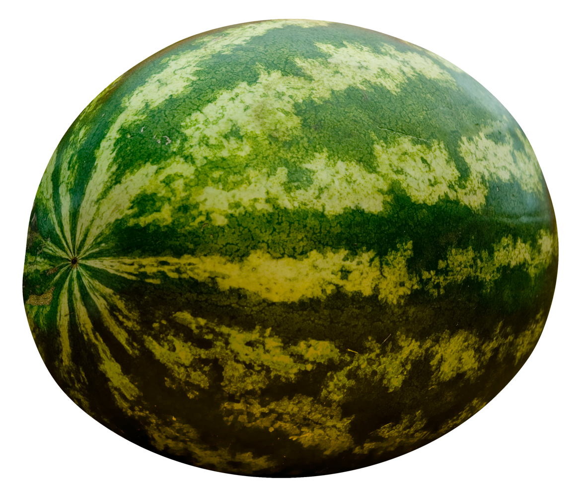 Detail Watermelon Png Nomer 19