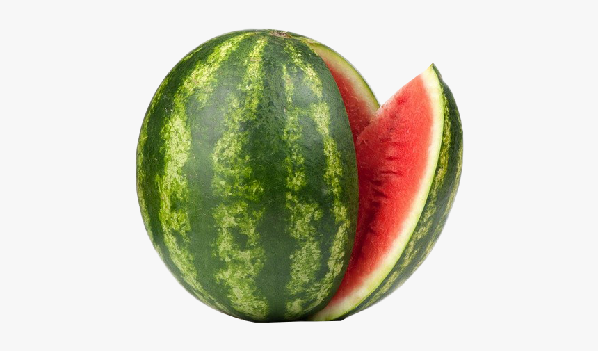 Detail Watermelon Png Nomer 21
