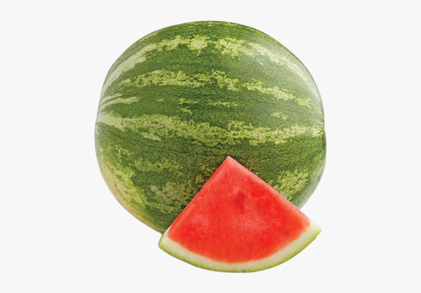 Detail Watermelon Png Nomer 25