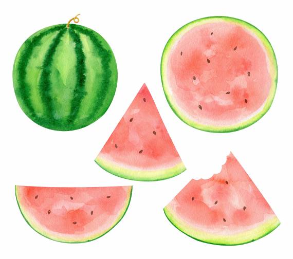 Detail Watermelon Png Nomer 36