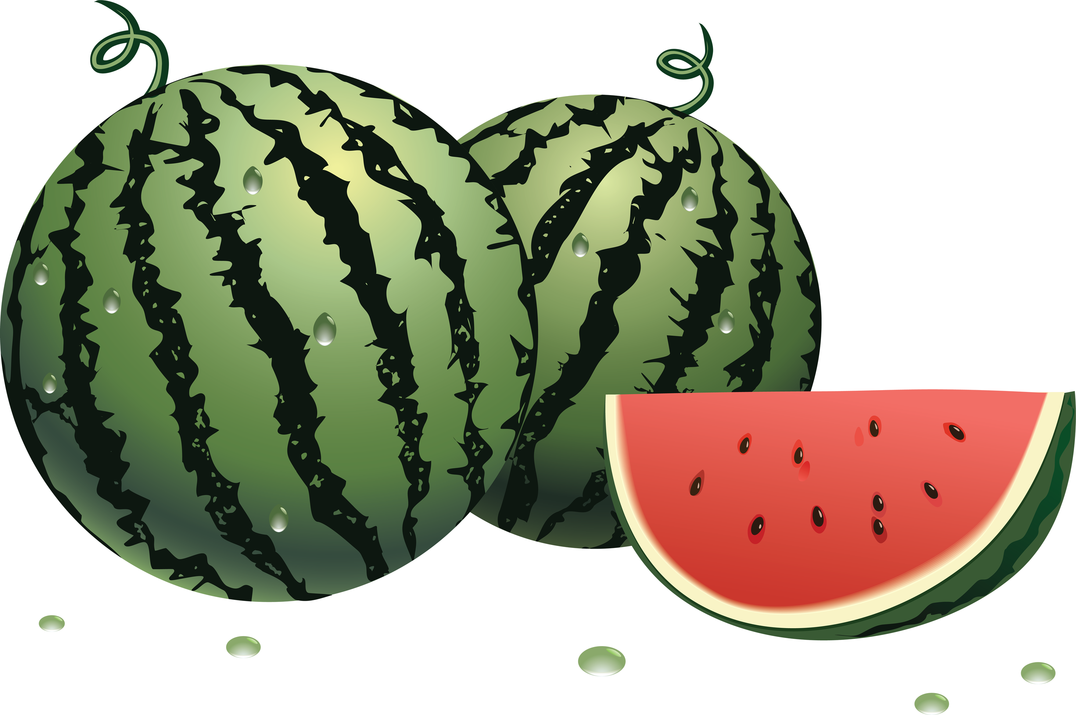 Detail Watermelon Png Nomer 39