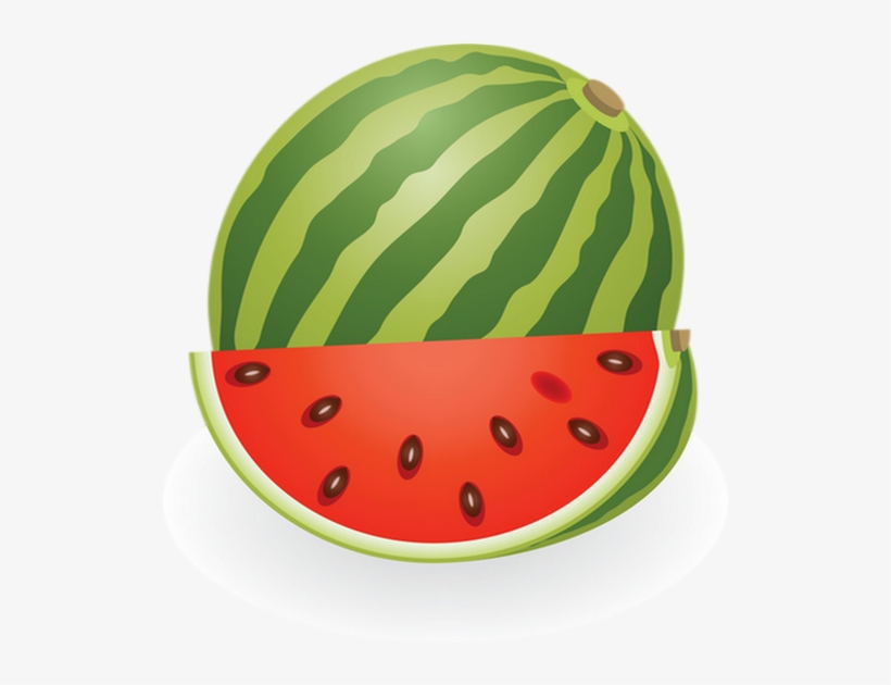 Detail Watermelon Png Nomer 42
