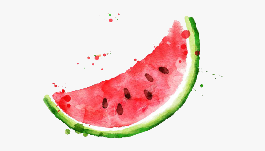 Detail Watermelon Png Nomer 52