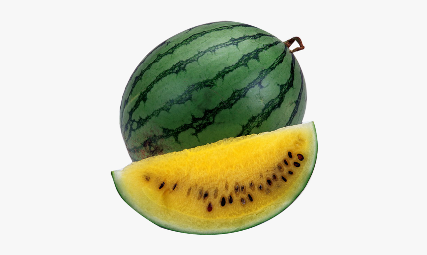 Detail Watermelon Png Nomer 55