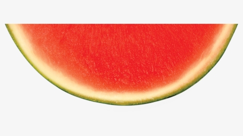 Detail Watermelon Slice Png Nomer 16