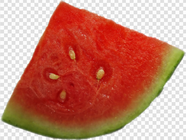 Detail Watermelon Slice Png Nomer 21