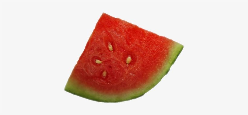 Detail Watermelon Slice Png Nomer 26