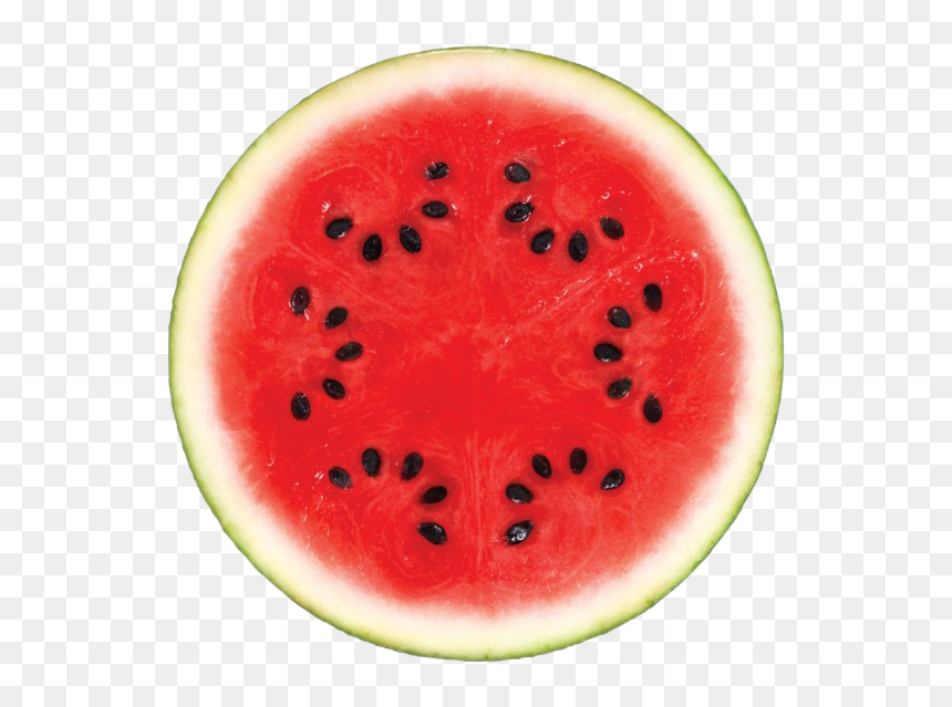 Detail Watermelon Slice Png Nomer 34