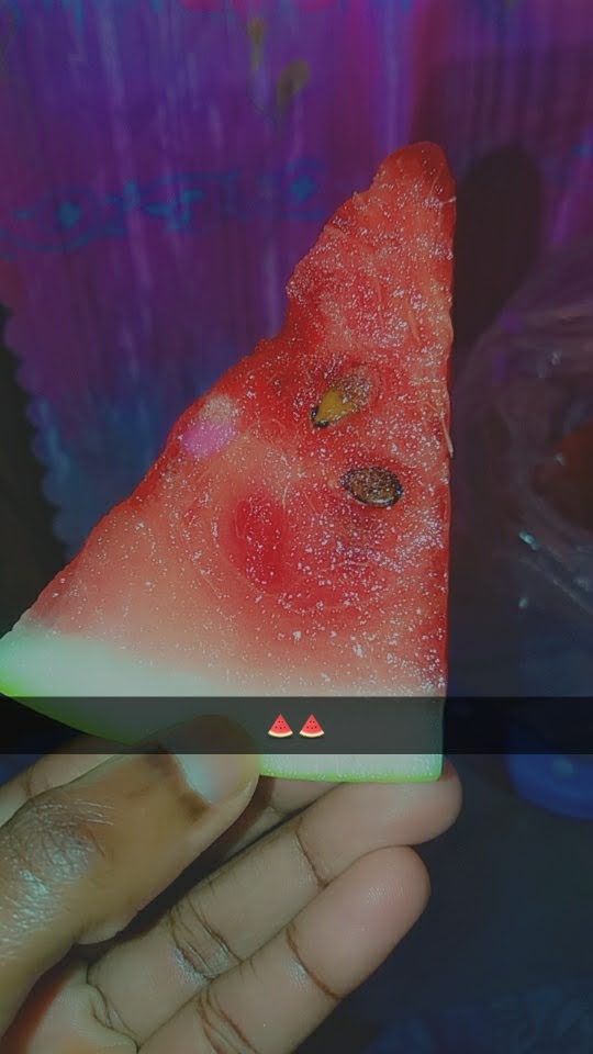 Detail Watermelon Snapchat Nomer 17