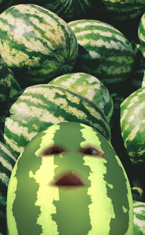 Detail Watermelon Snapchat Nomer 3