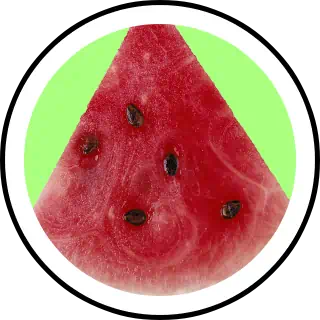 Detail Watermelon Snapchat Nomer 27