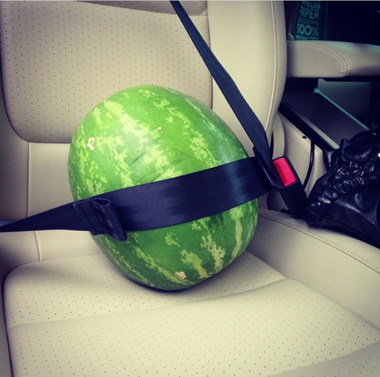 Detail Watermelon Snapchat Nomer 34