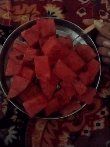 Detail Watermelon Snapchat Nomer 36