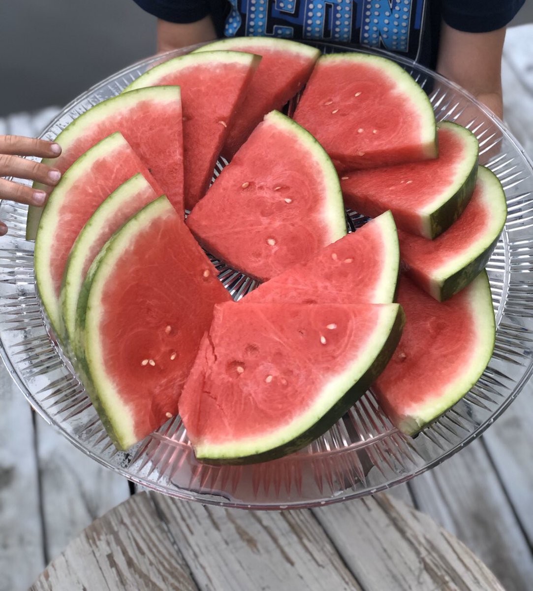 Detail Watermelon Snapchat Nomer 38