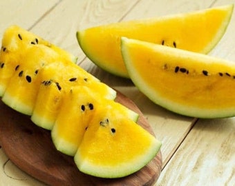 Detail Watermelon Snapchat Nomer 39