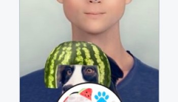 Detail Watermelon Snapchat Nomer 41