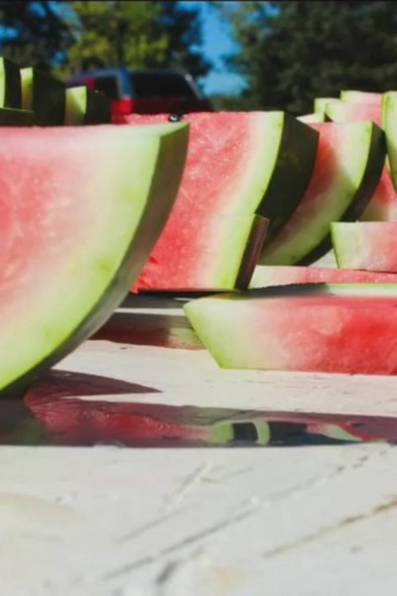 Detail Watermelon Snapchat Nomer 46