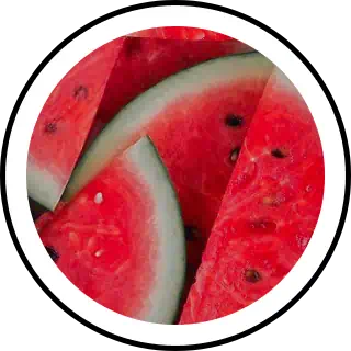 Detail Watermelon Snapchat Nomer 7
