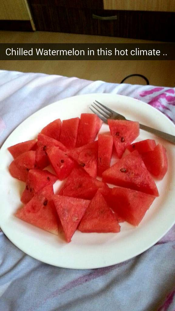 Detail Watermelon Snapchat Nomer 8