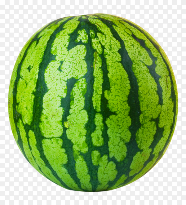 Detail Watermelon Transparent Background Nomer 3