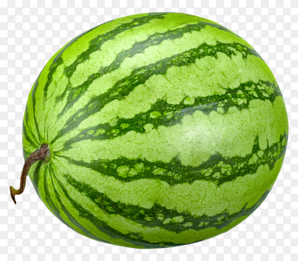 Detail Watermelon Transparent Background Nomer 4
